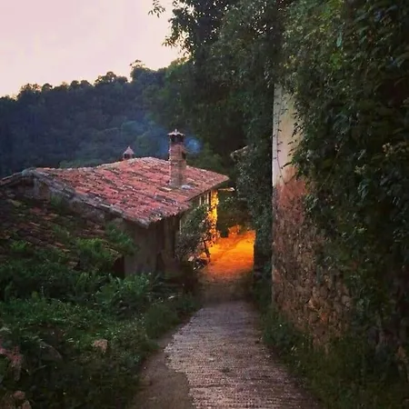 El Nido De La Golondrina