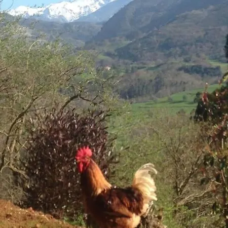 El Nido De La Golondrina Dağ evi